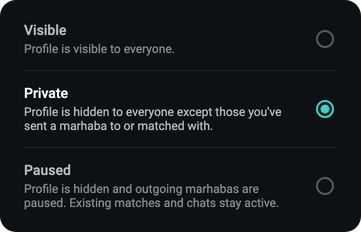 masihimatch’s Profile Visibility setting: Visible, Private (selected) and Paused, each with one line on who can see you